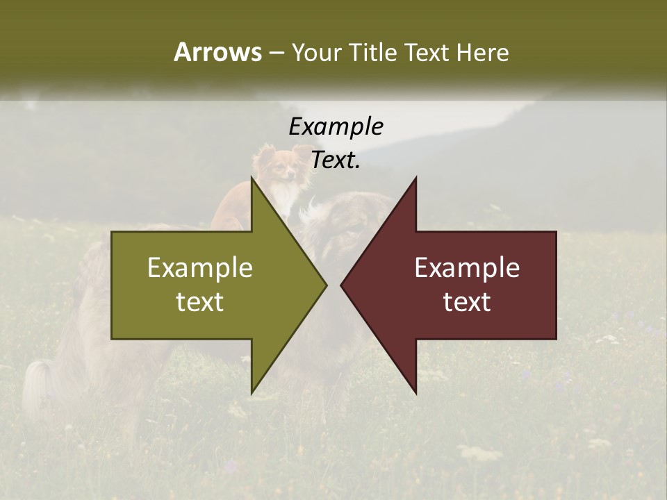 Two Dogs Are Standing In A Field Of Grass PowerPoint Template