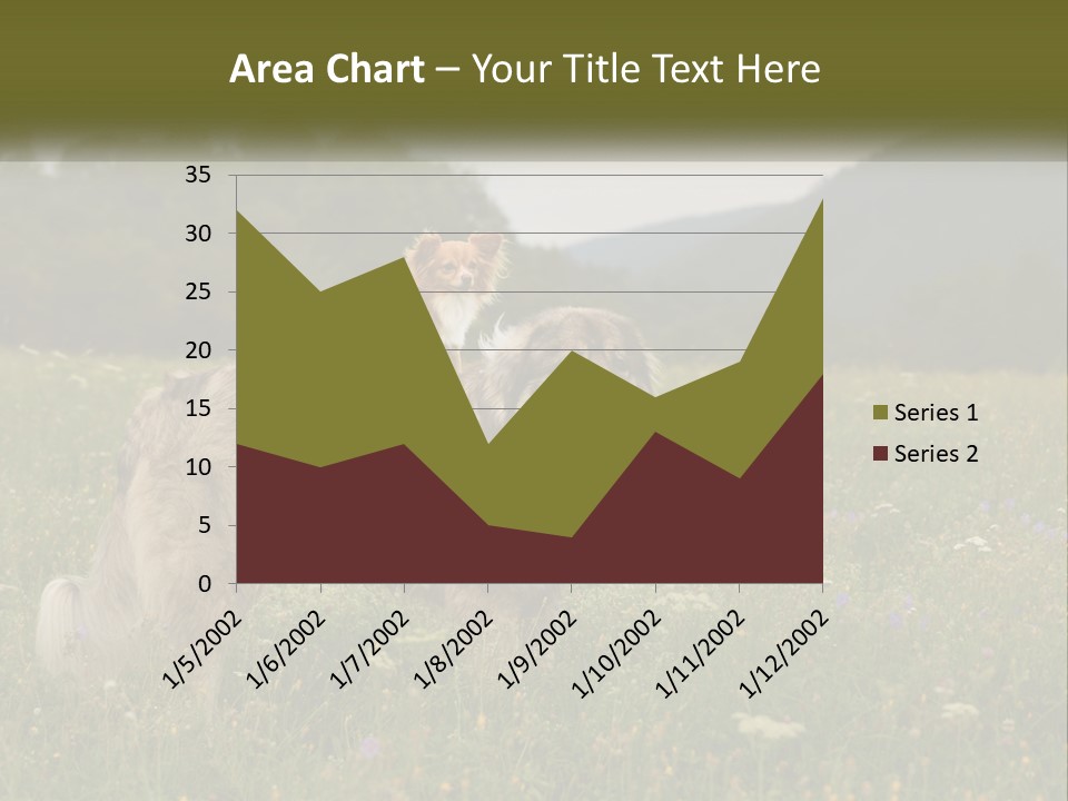 Two Dogs Are Standing In A Field Of Grass PowerPoint Template