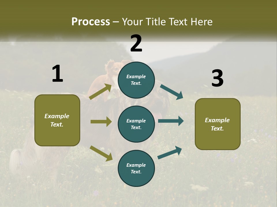 Two Dogs Are Standing In A Field Of Grass PowerPoint Template