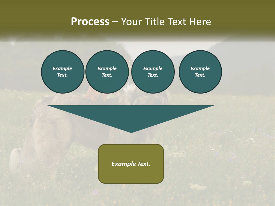 Two Dogs Are Standing In A Field Of Grass PowerPoint Template