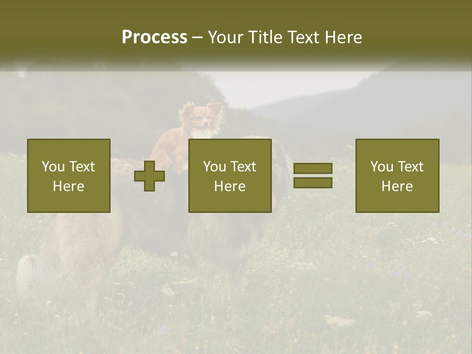 Two Dogs Are Standing In A Field Of Grass PowerPoint Template