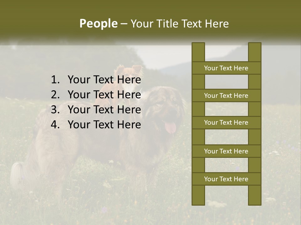 Two Dogs Are Standing In A Field Of Grass PowerPoint Template