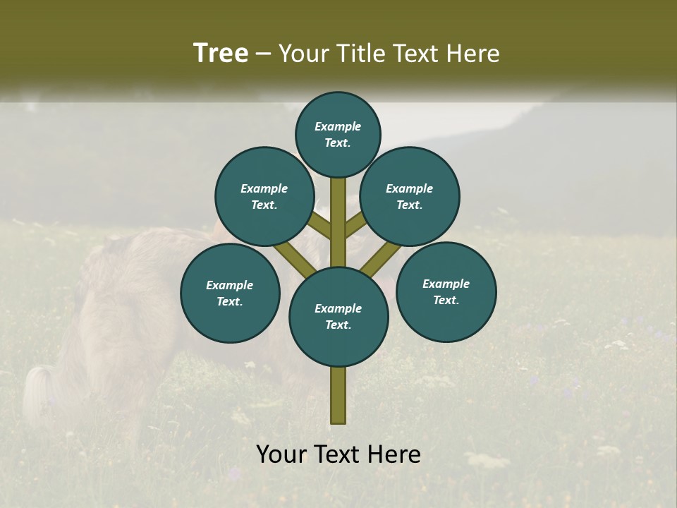 Two Dogs Are Standing In A Field Of Grass PowerPoint Template