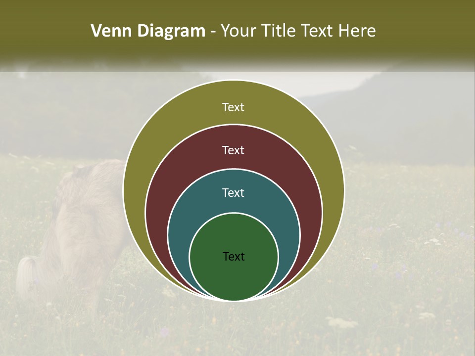 Two Dogs Are Standing In A Field Of Grass PowerPoint Template
