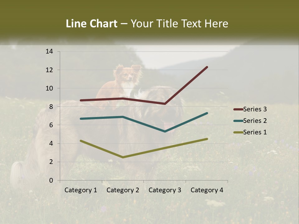 Two Dogs Are Standing In A Field Of Grass PowerPoint Template