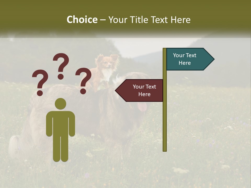 Two Dogs Are Standing In A Field Of Grass PowerPoint Template