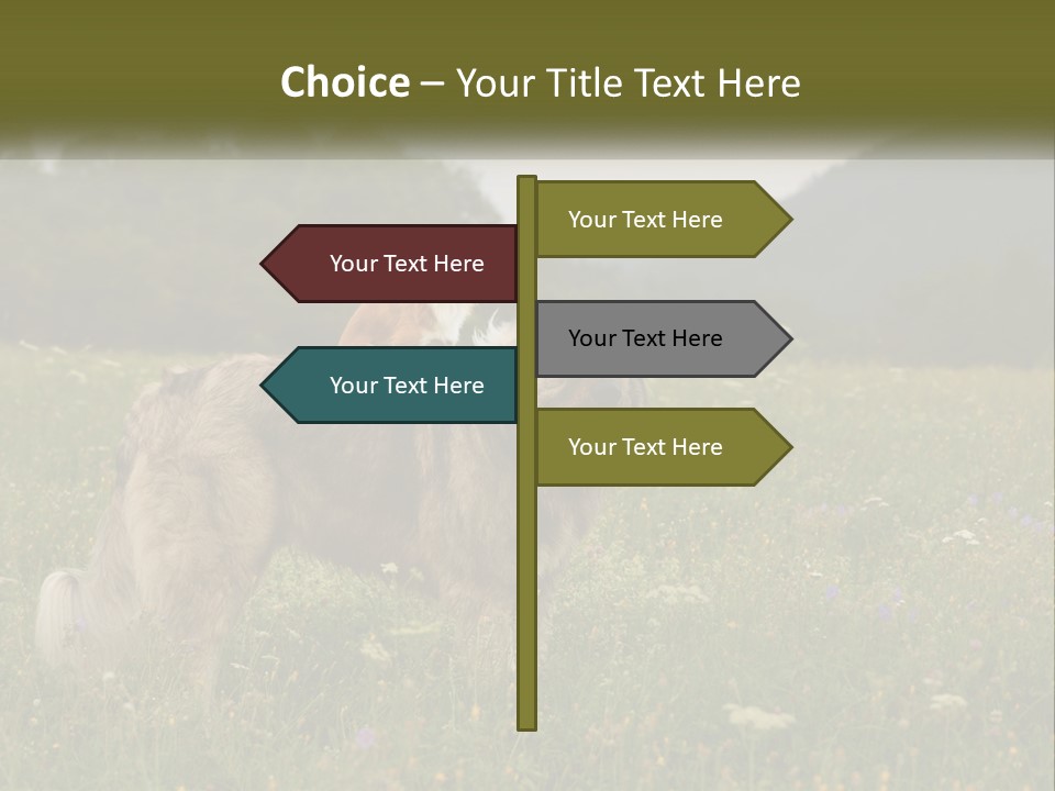 Two Dogs Are Standing In A Field Of Grass PowerPoint Template