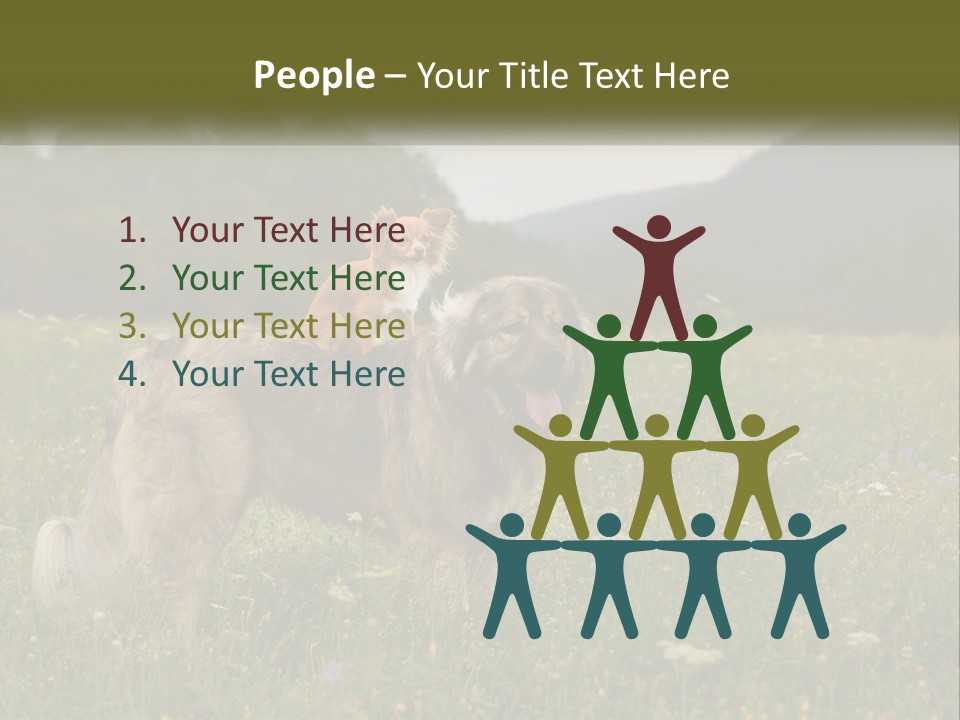 Two Dogs Are Standing In A Field Of Grass PowerPoint Template