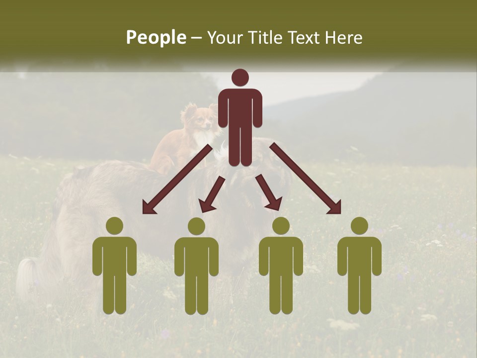 Two Dogs Are Standing In A Field Of Grass PowerPoint Template