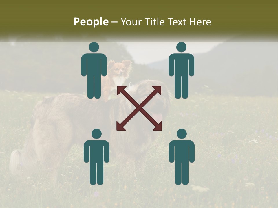 Two Dogs Are Standing In A Field Of Grass PowerPoint Template