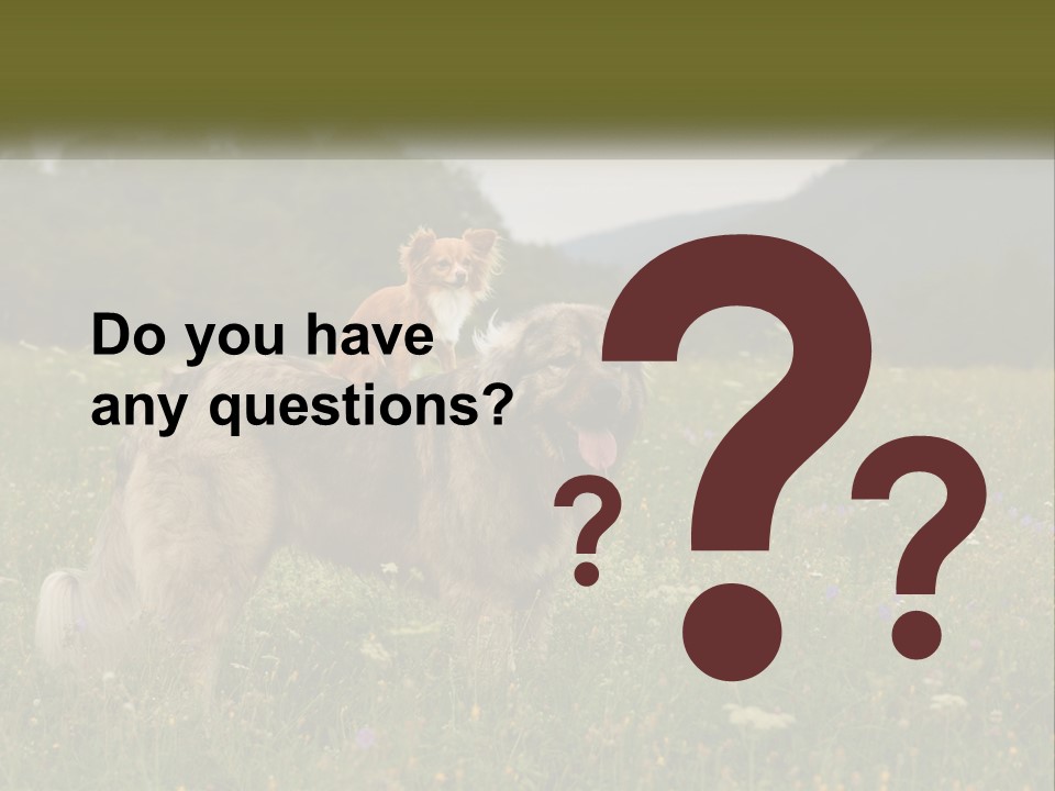 Two Dogs Are Standing In A Field Of Grass PowerPoint Template