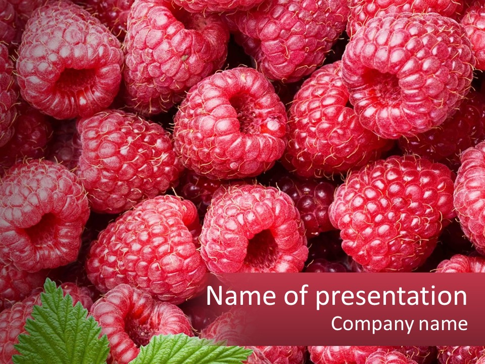 Raspberry PowerPoint Template