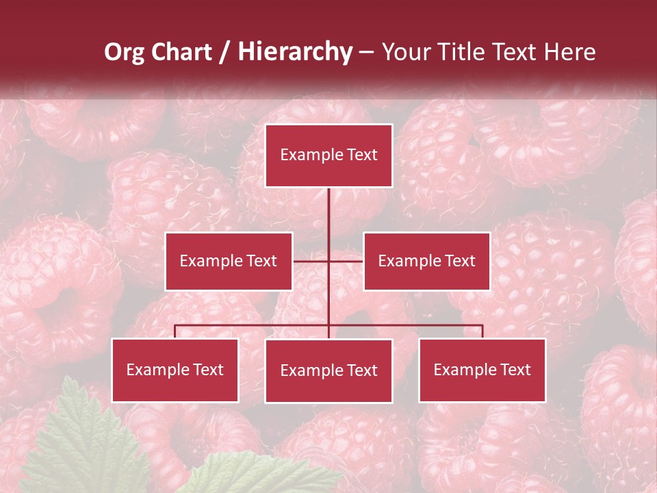 Raspberry PowerPoint Template