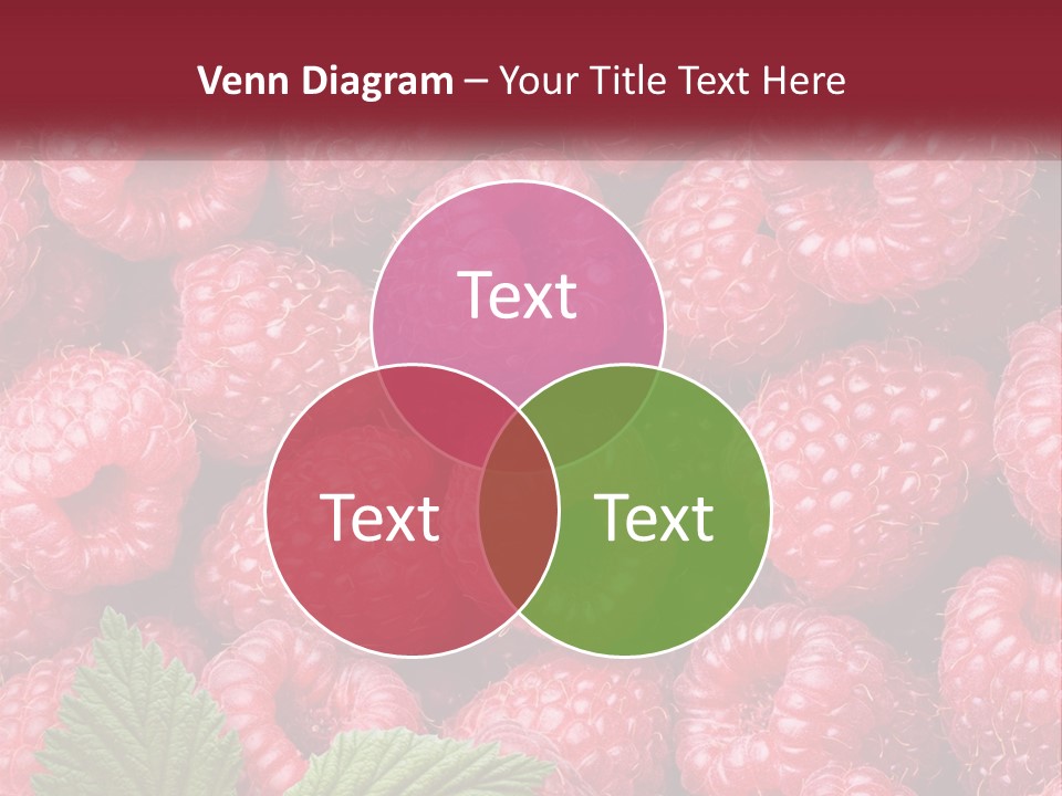 Raspberry PowerPoint Template