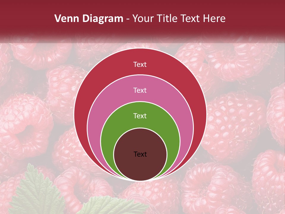 Raspberry PowerPoint Template