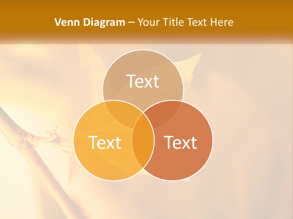 A Yellow Leaf Powerpoint Template Is Shown PowerPoint Template