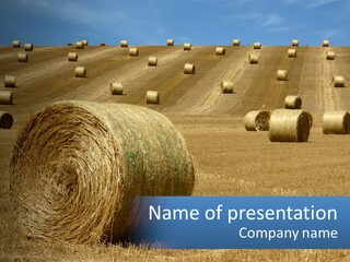 A Field Full Of Hay Bales With A Blue Sky In The Background PowerPoint Template