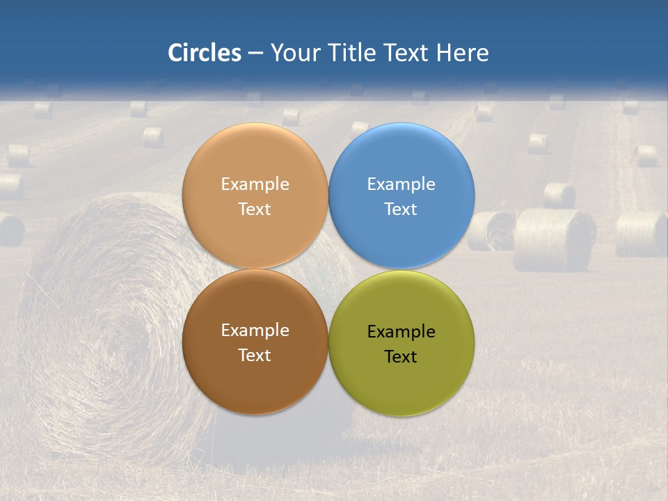 A Field Full Of Hay Bales With A Blue Sky In The Background PowerPoint Template