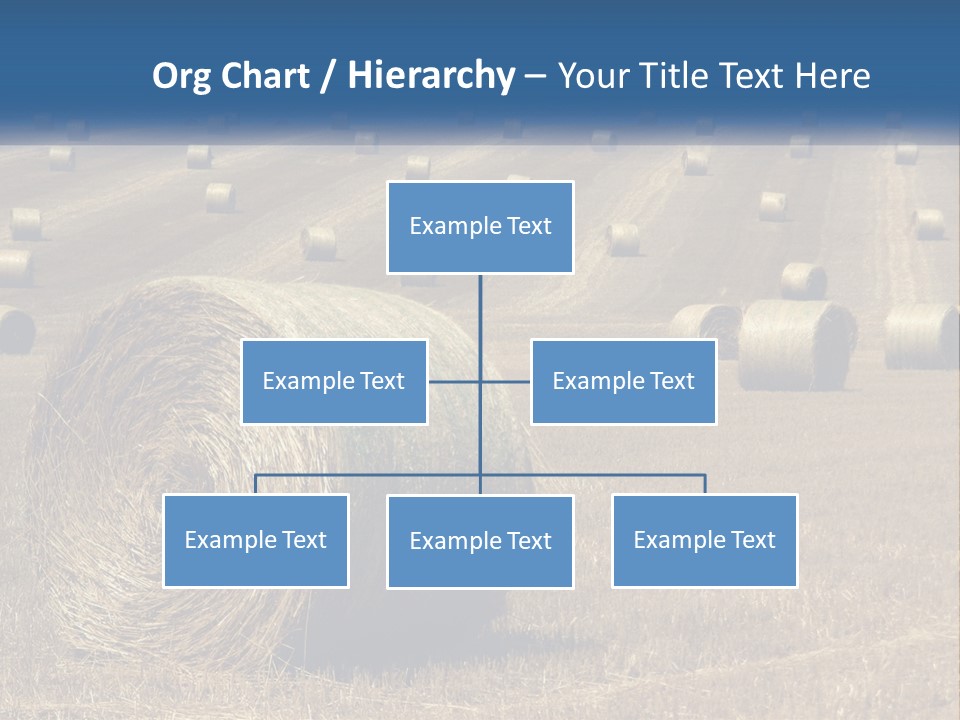 A Field Full Of Hay Bales With A Blue Sky In The Background PowerPoint Template