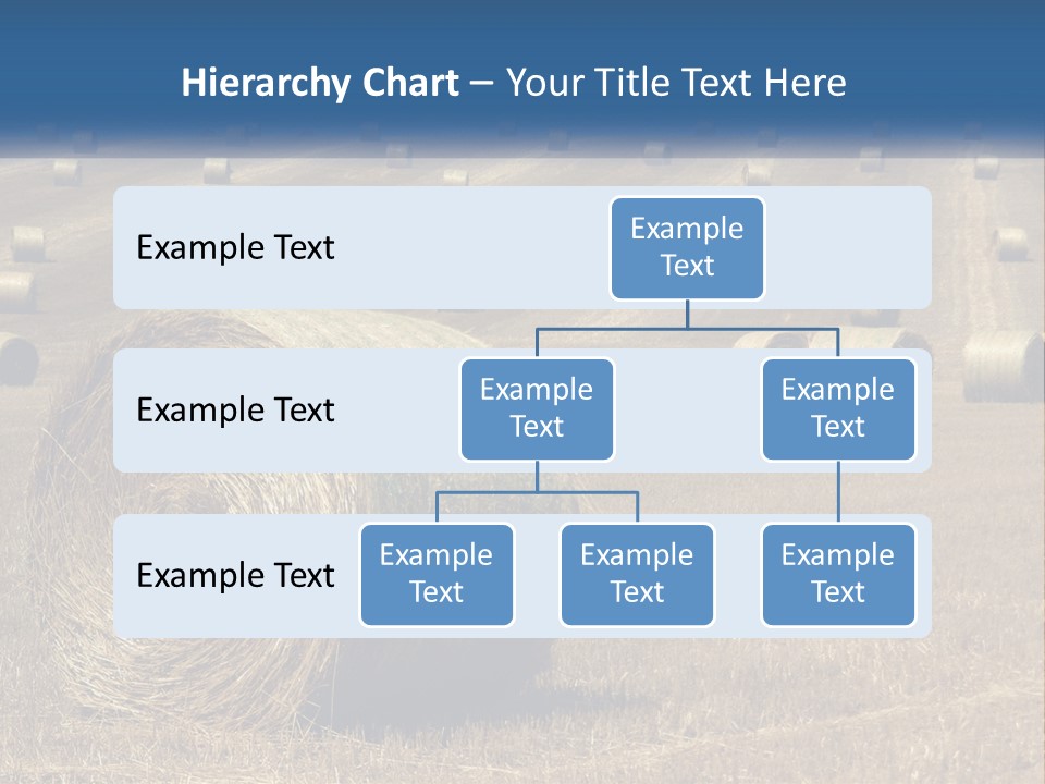 A Field Full Of Hay Bales With A Blue Sky In The Background PowerPoint Template