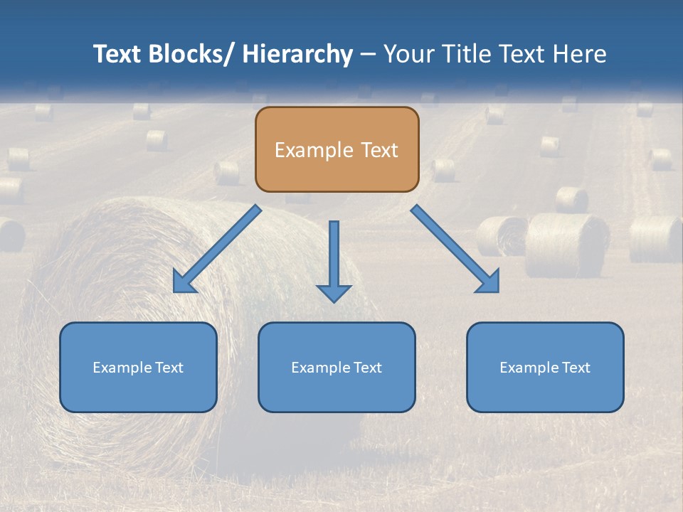 A Field Full Of Hay Bales With A Blue Sky In The Background PowerPoint Template