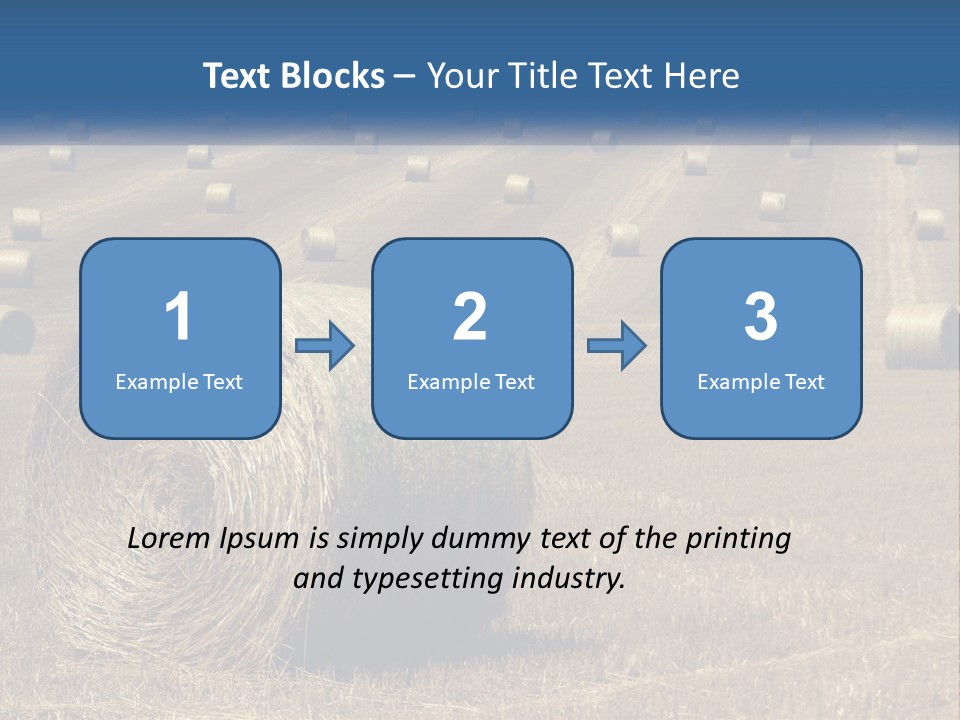 A Field Full Of Hay Bales With A Blue Sky In The Background PowerPoint Template