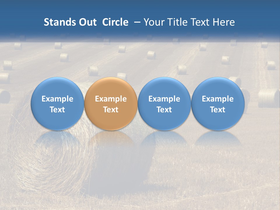 A Field Full Of Hay Bales With A Blue Sky In The Background PowerPoint Template