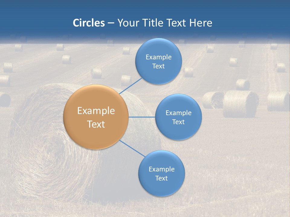 A Field Full Of Hay Bales With A Blue Sky In The Background PowerPoint Template