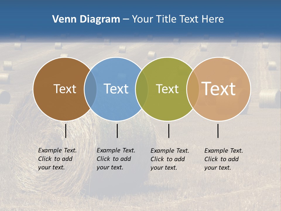 A Field Full Of Hay Bales With A Blue Sky In The Background PowerPoint Template