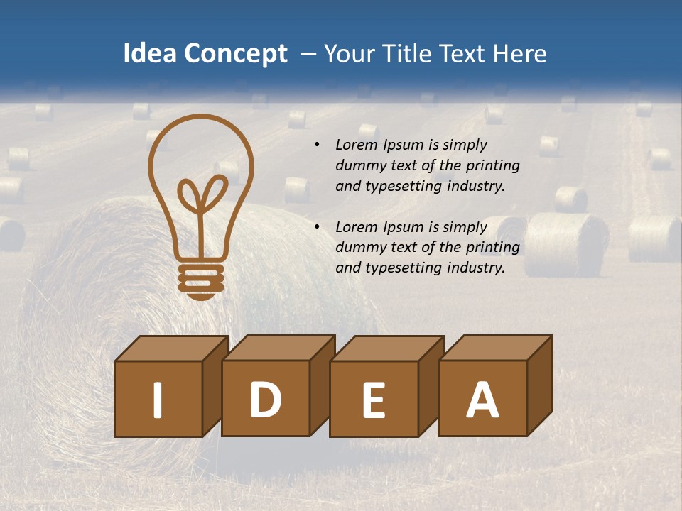 A Field Full Of Hay Bales With A Blue Sky In The Background PowerPoint Template