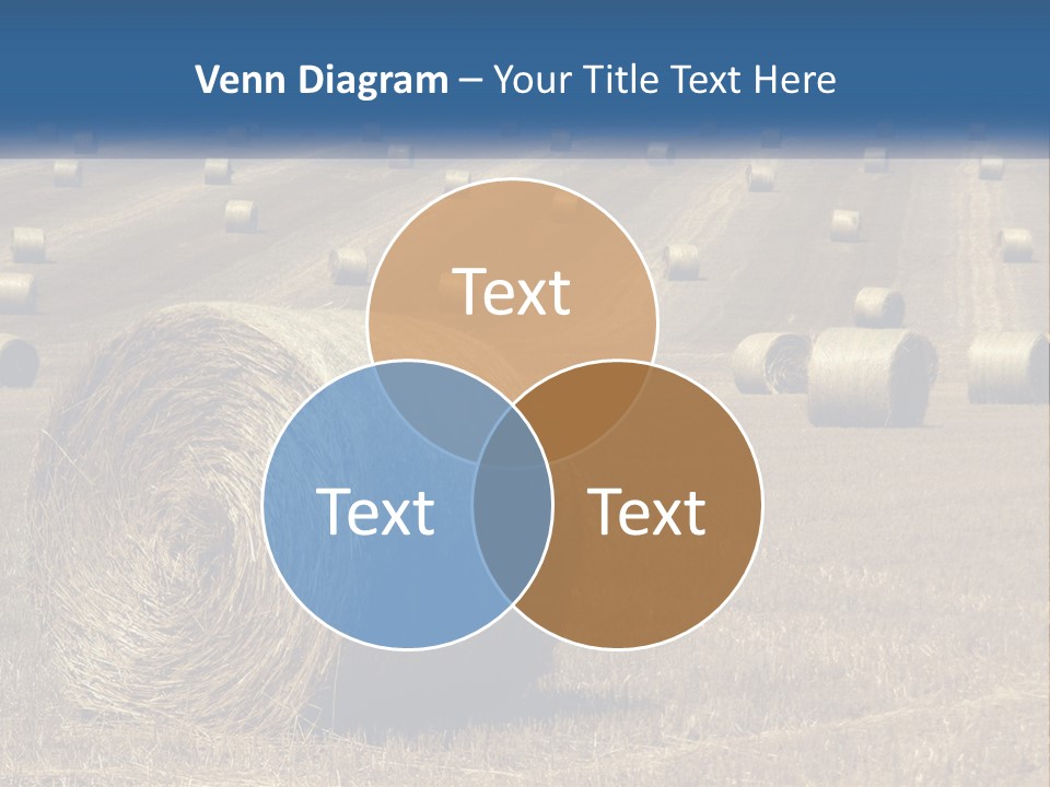 A Field Full Of Hay Bales With A Blue Sky In The Background PowerPoint Template