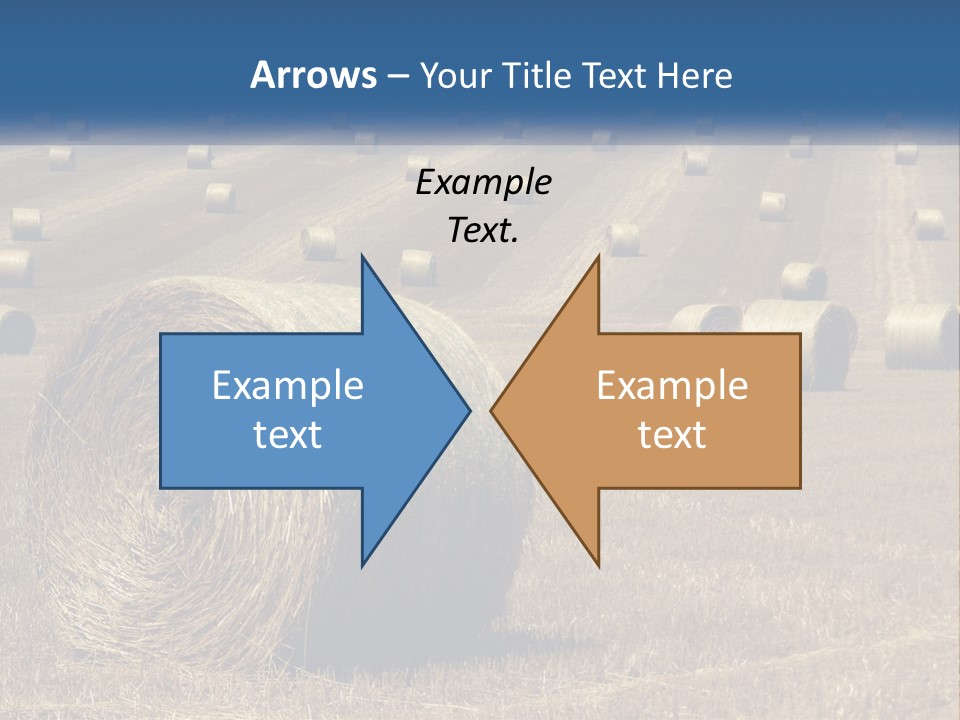 A Field Full Of Hay Bales With A Blue Sky In The Background PowerPoint Template