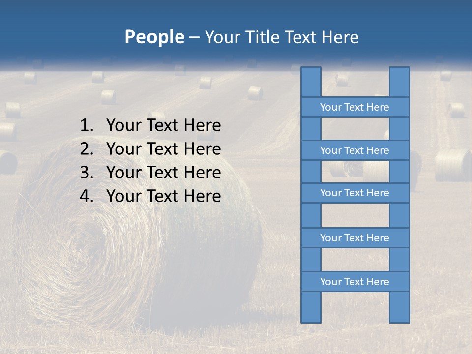 A Field Full Of Hay Bales With A Blue Sky In The Background PowerPoint Template