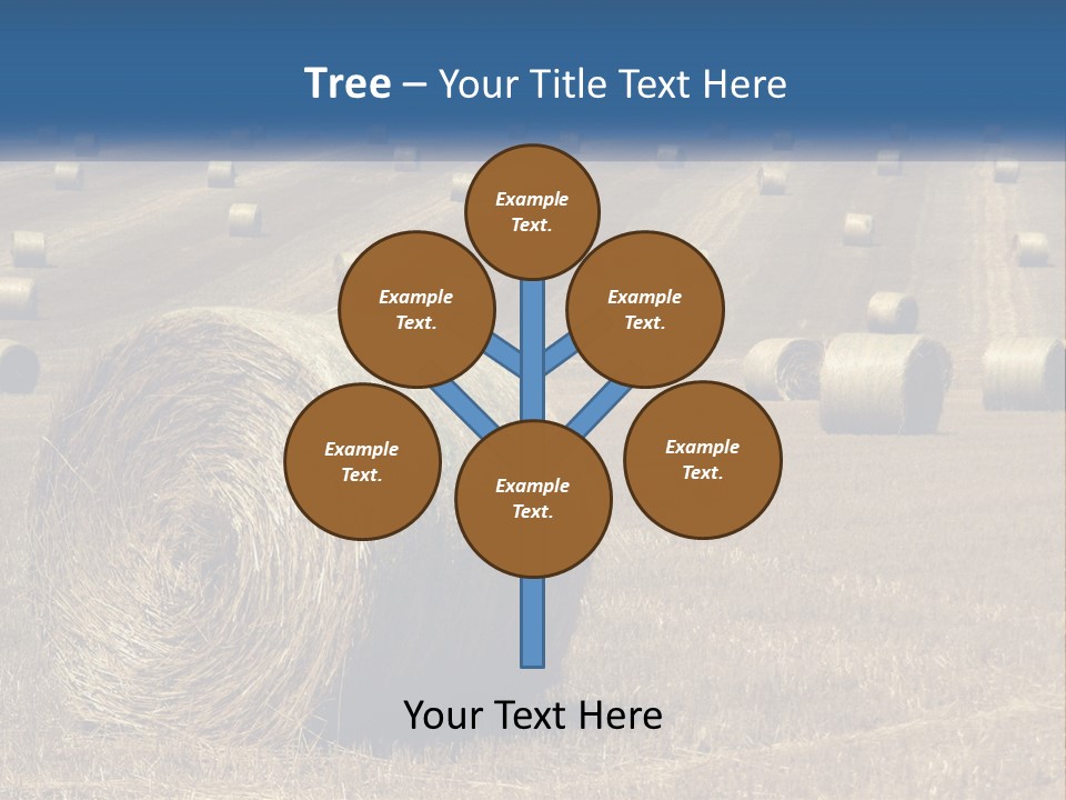 A Field Full Of Hay Bales With A Blue Sky In The Background PowerPoint Template