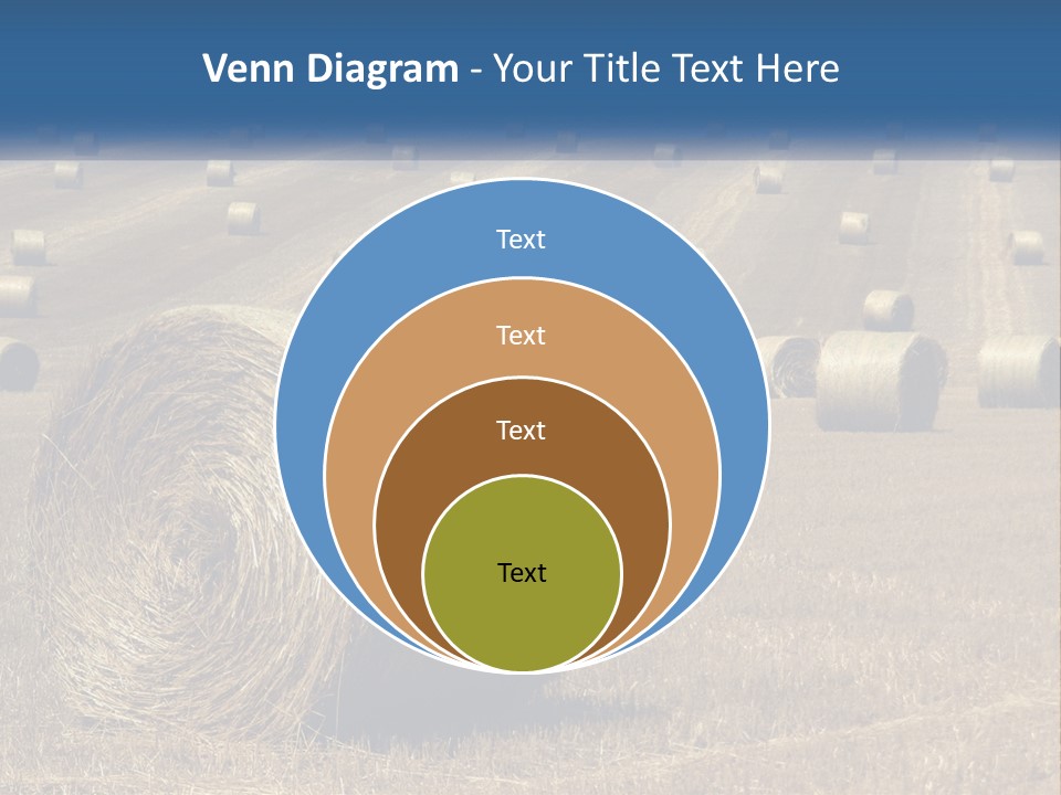 A Field Full Of Hay Bales With A Blue Sky In The Background PowerPoint Template