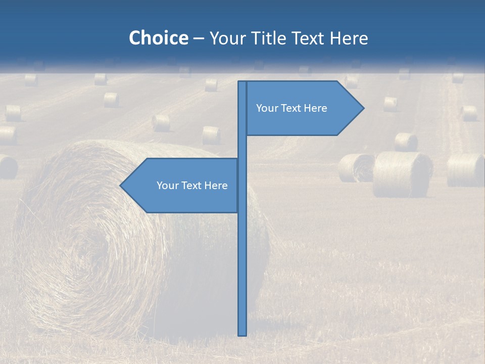 A Field Full Of Hay Bales With A Blue Sky In The Background PowerPoint Template