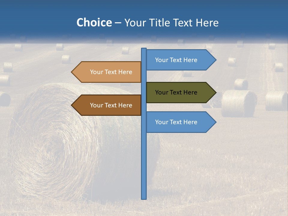 A Field Full Of Hay Bales With A Blue Sky In The Background PowerPoint Template