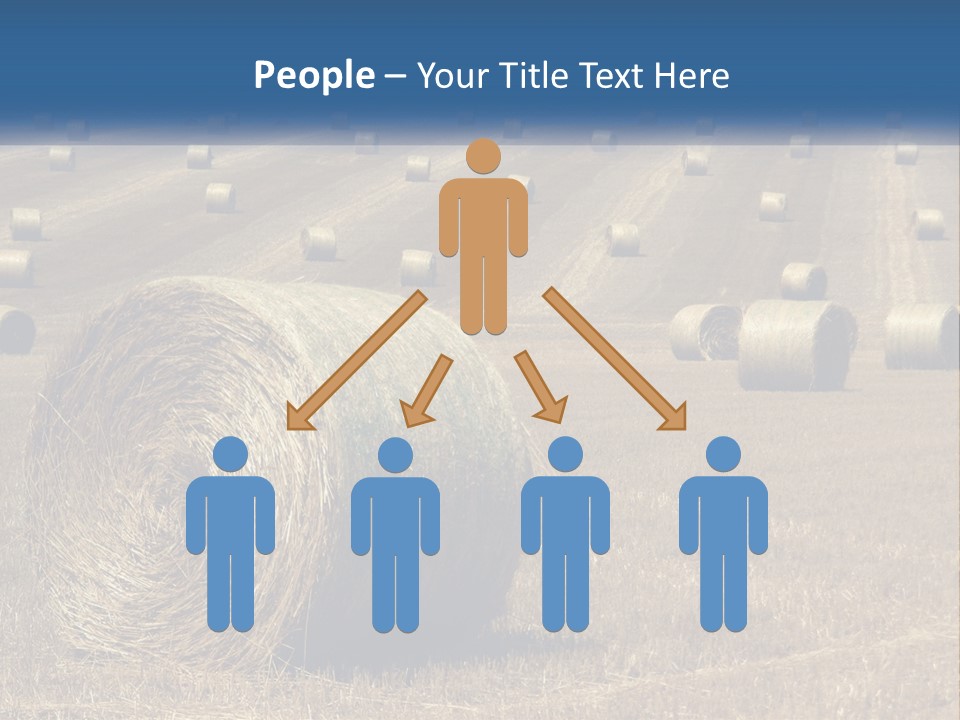 A Field Full Of Hay Bales With A Blue Sky In The Background PowerPoint Template