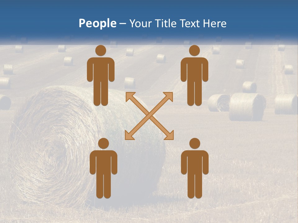 A Field Full Of Hay Bales With A Blue Sky In The Background PowerPoint Template