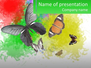 A Group Of Butterflies On A Colorful Background PowerPoint Template