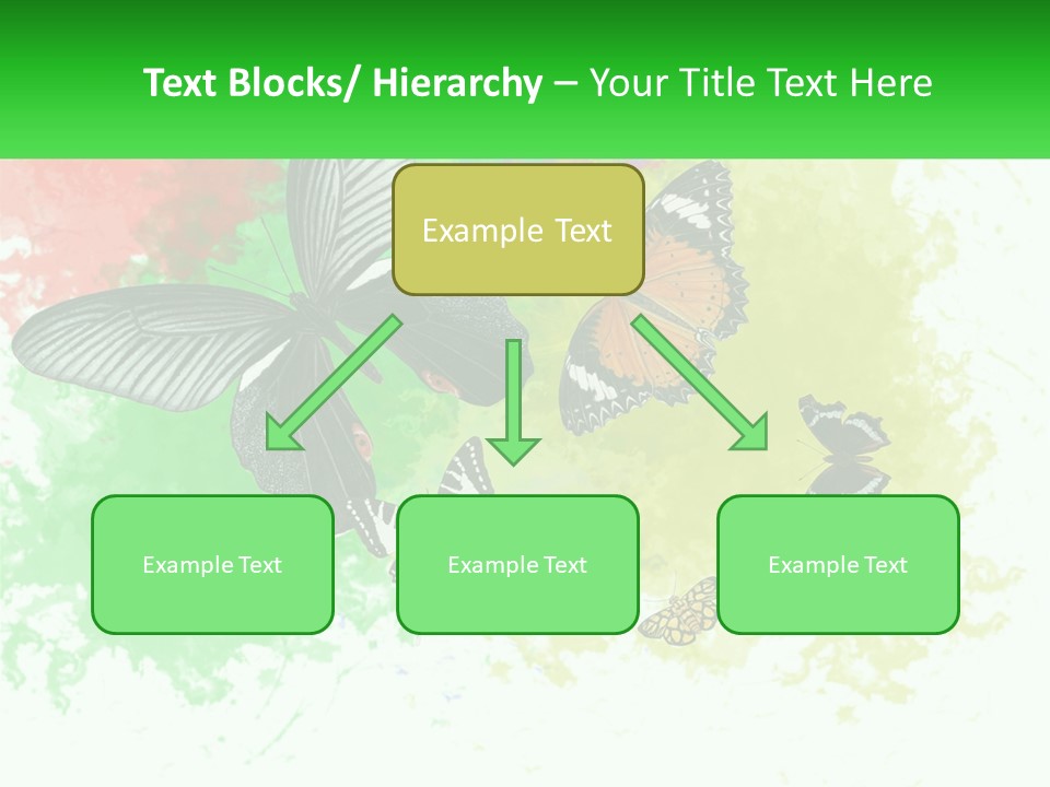 A Group Of Butterflies On A Colorful Background PowerPoint Template