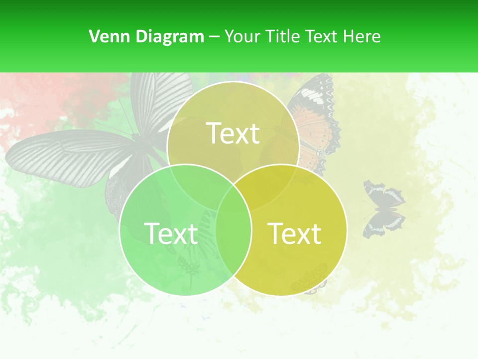 A Group Of Butterflies On A Colorful Background PowerPoint Template