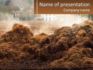 A Pile Of Hay With A House In The Background PowerPoint Template