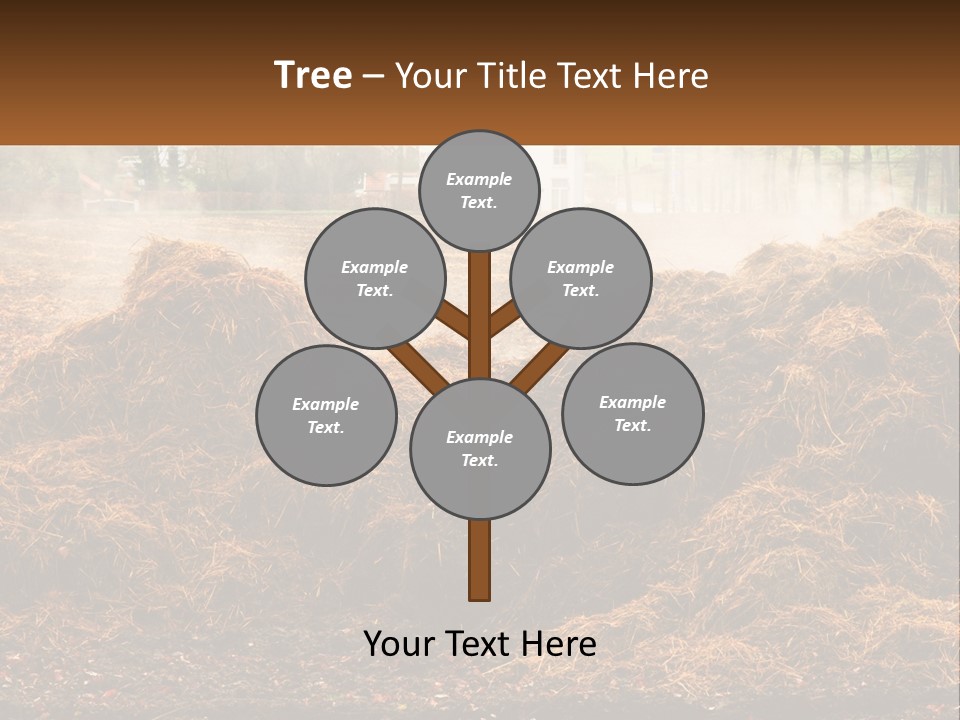 A Pile Of Hay With A House In The Background PowerPoint Template