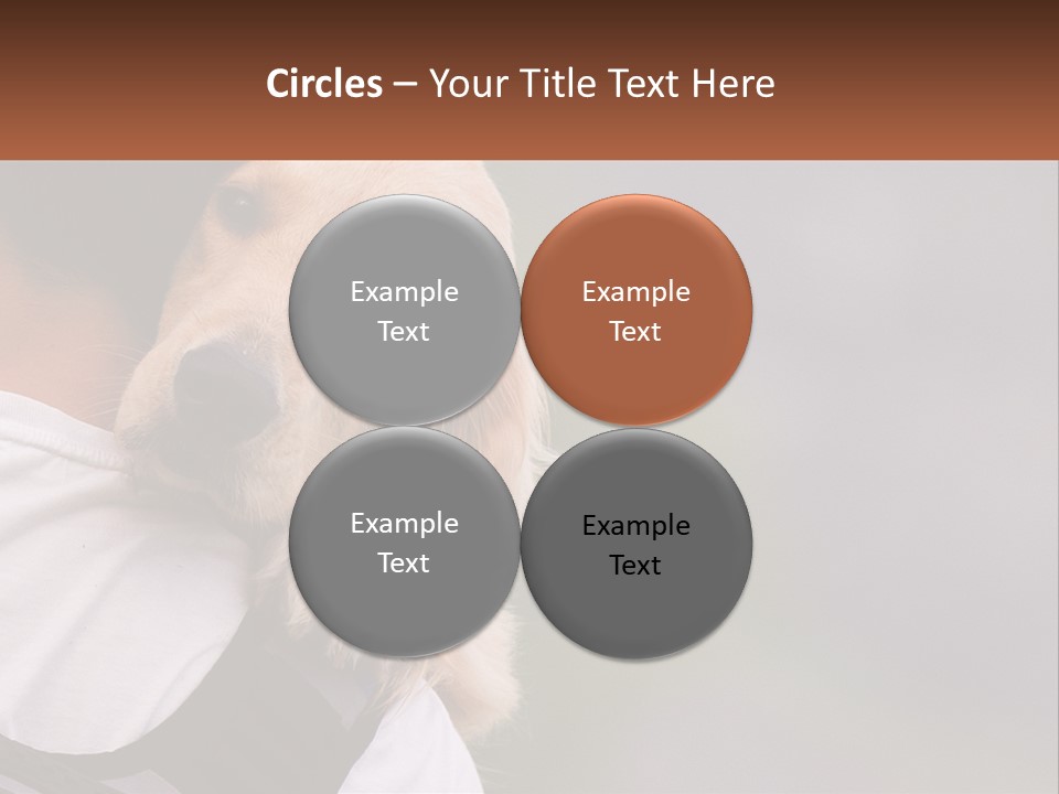 A Man Holding A Dog In His Arms PowerPoint Template