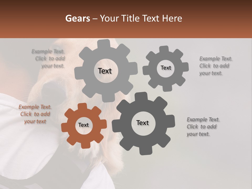 A Man Holding A Dog In His Arms PowerPoint Template