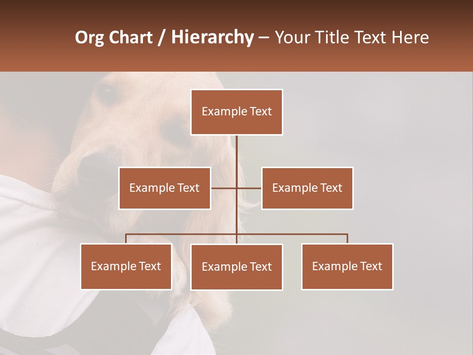 A Man Holding A Dog In His Arms PowerPoint Template