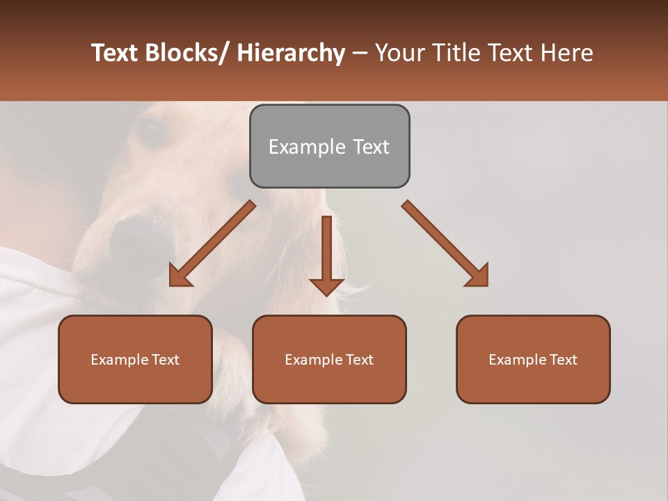 A Man Holding A Dog In His Arms PowerPoint Template