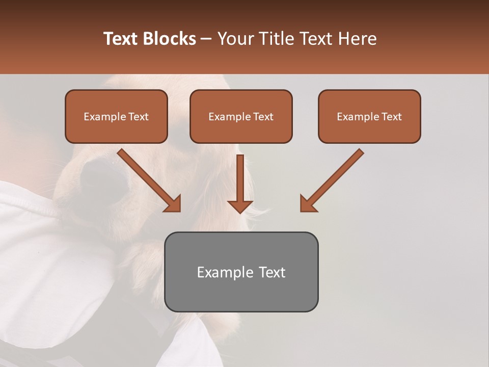 A Man Holding A Dog In His Arms PowerPoint Template