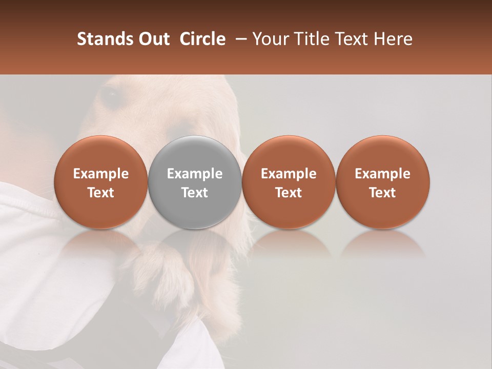 A Man Holding A Dog In His Arms PowerPoint Template